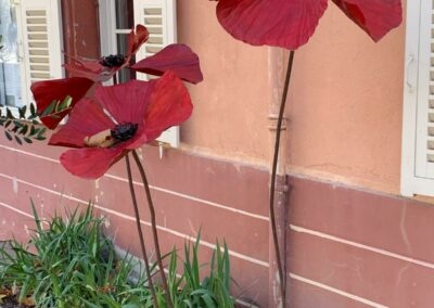Les Coquelicots, Breil-sur-Roya